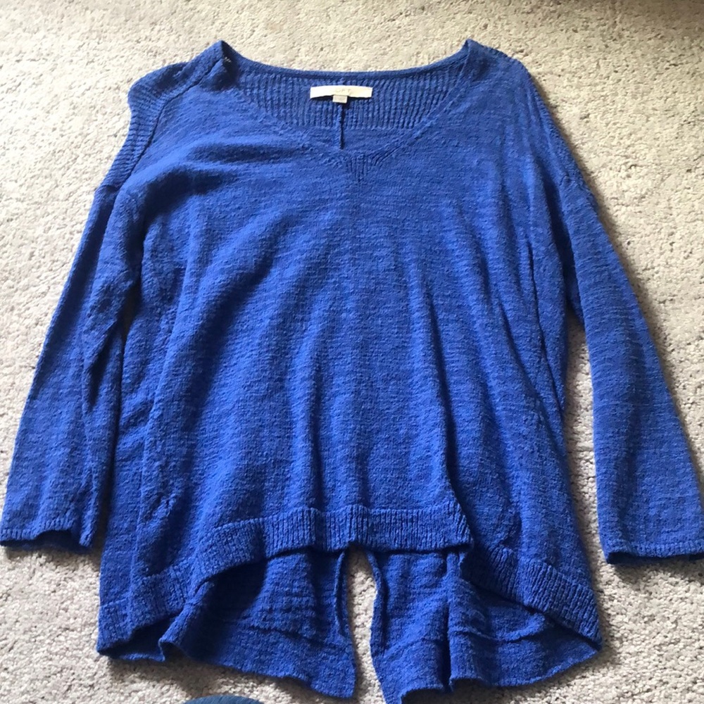 Blue Loft sweater